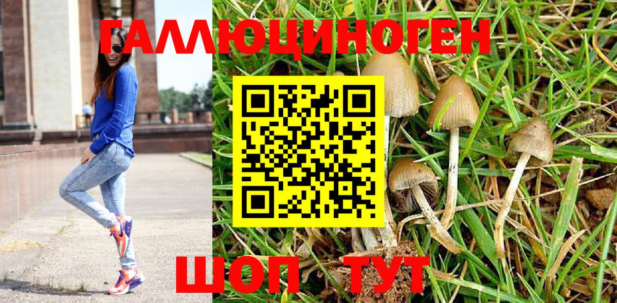 Ахтубинск  Галлюциногенные грибы MAGIC MUSHROOMS  закладки  Вход с VPN 